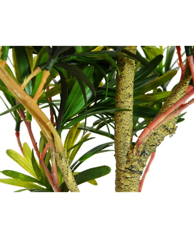 Europalms Podocarpus tree, artificial plant, 90cm Flowers & Plants