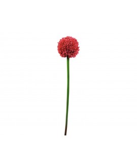 Europalms Alliumzweig, künstlich, rot, 55cm Blumen & Pflanzen