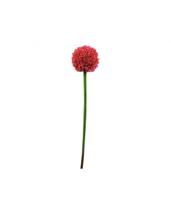 Europalms Allium spray, artificiale, rosso, 55 cm Fiori & piante