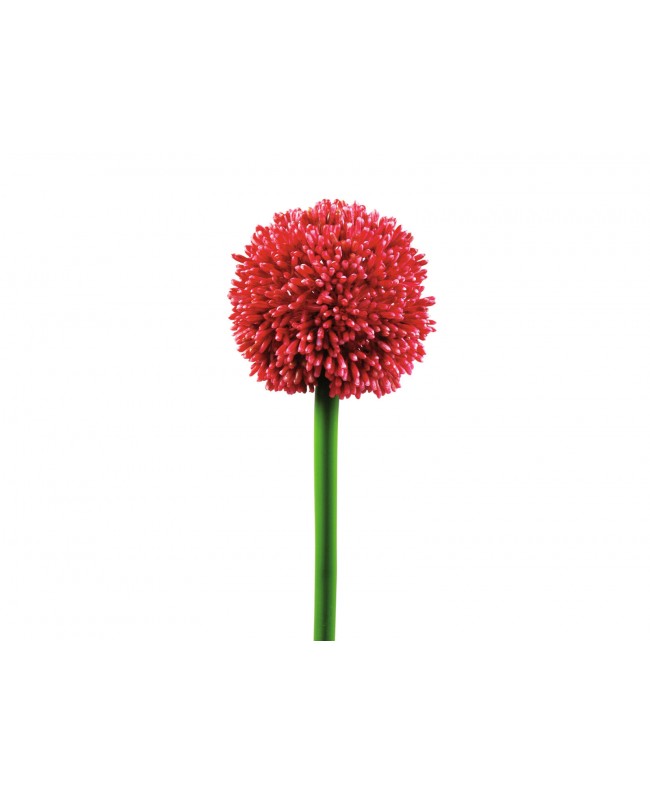 Europalms Allium spray, artificiale, rosso, 55 cm Fiori & piante
