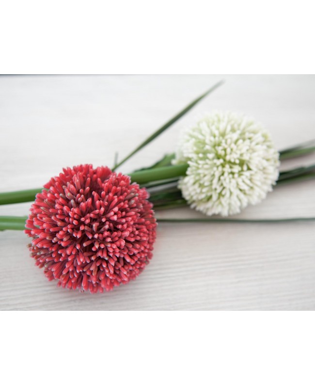 Europalms Alliumzweig, künstlich, rot, 55cm Blumen & Pflanzen