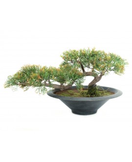 Europalms Pencil Cedar, artificial plant, 40cm Fiori & piante