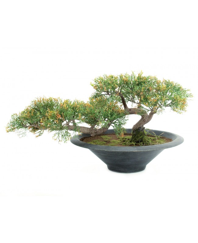 Europalms Pencil Cedar, artificial plant, 40cm Flowers & Plants