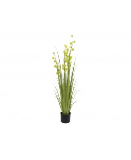 Europalms Allium Grass, artificial, 122cm Fiori & piante