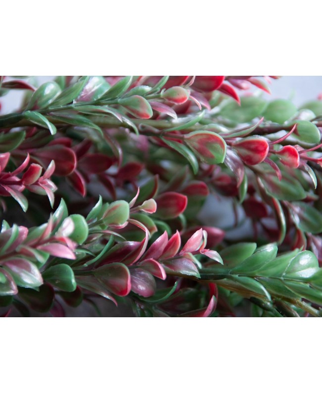 Europalms Grass tendril, artificial, green-red, 105cm Flowers & Plants
