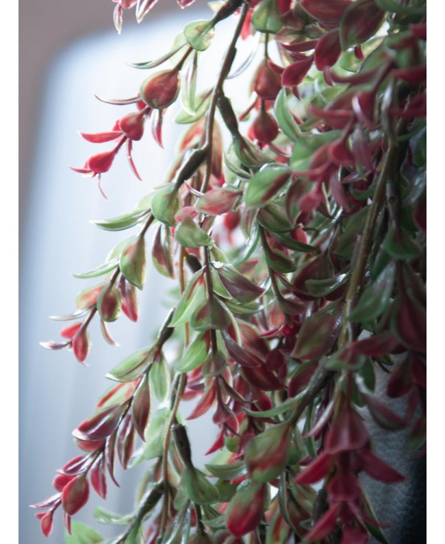 Europalms Grasranke, künstlich, grün-rot, 105cm Blumen & Pflanzen