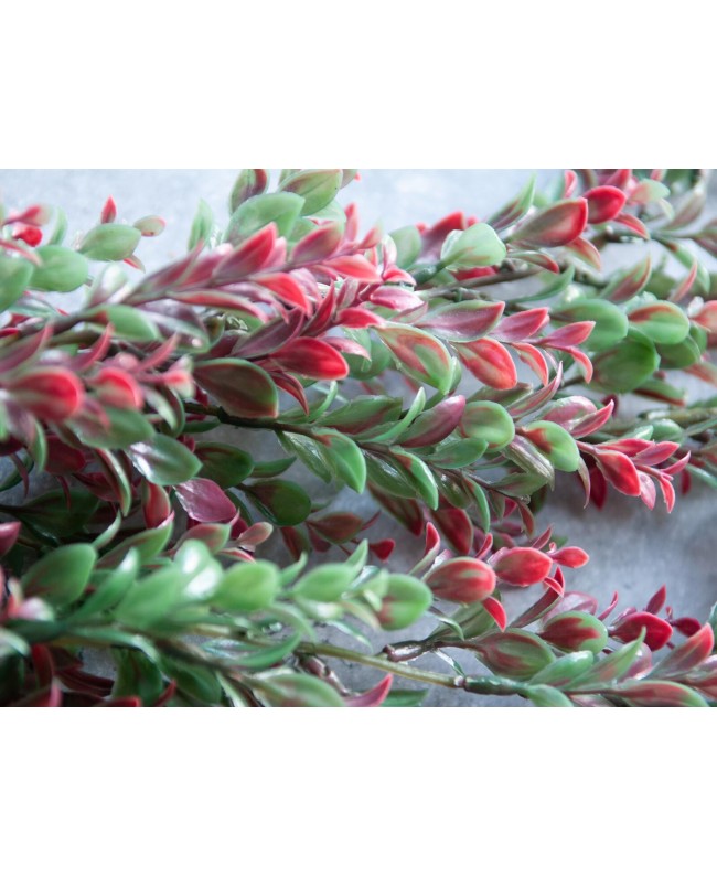 Europalms Tendine d'erba, artificiale, verde-rosso, 105 cm Fiori & piante