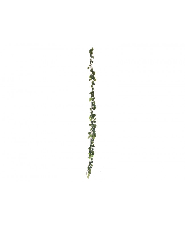 Europalms Pothos garland classic, artificial, 180cm Flowers & Plants
