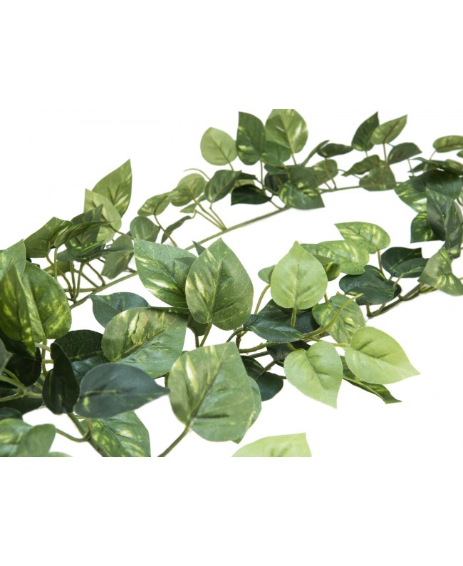 Europalms Pothos garland classic, artificial, 180cm Fiori & piante