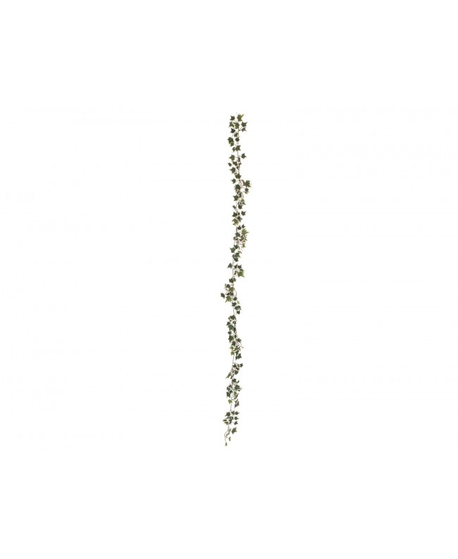 Europalms Holland ivy garland classic, artificial, 180cm Flowers & Plants