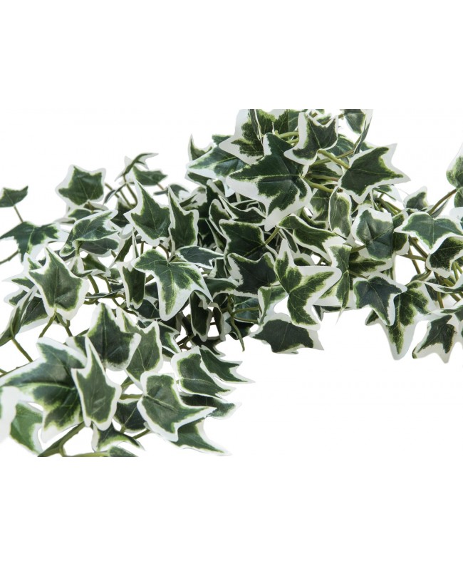 Europalms Holland ivy garland classic, artificial, 180cm Fiori & piante