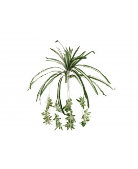 Europalms Grünlilie, künstlich, 60cm Blumen & Pflanzen