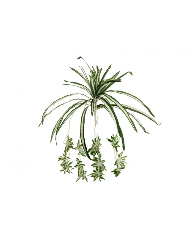 Europalms Spider plant, artificial, 60cm Fiori & piante