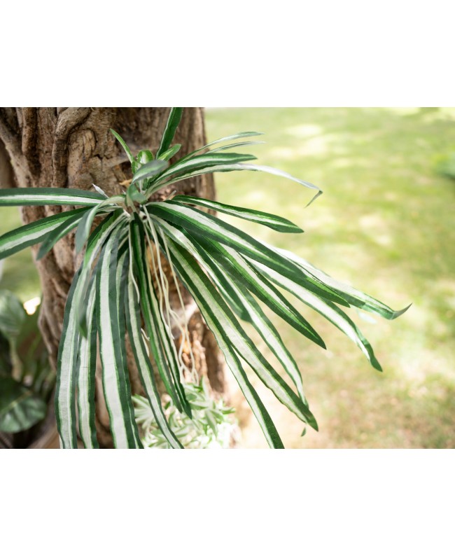 Europalms Spider plant, artificial, 60cm Fiori & piante