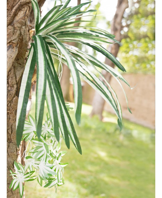 Europalms Spider plant, artificial, 60cm Fiori & piante