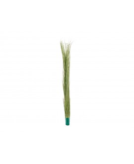 Europalms Reed grass, light green, artificial, 127cm Flowers & Plants