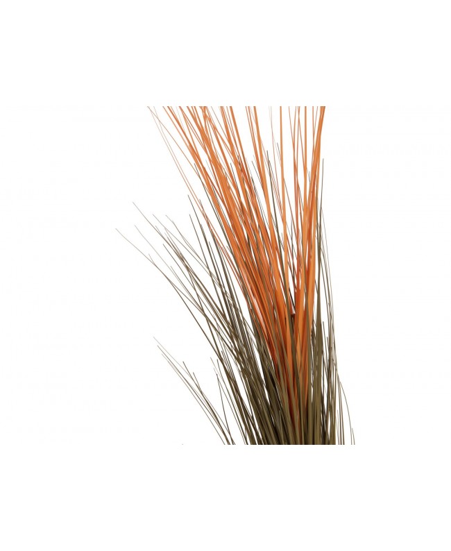 Europalms Reed grass, light brown, artificial, 127cm Flowers & Plants