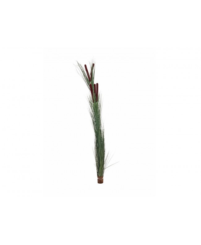 Europalms Erba di canna con coda di gatto, verde scuro, artificiale, 152cm Fiori & piante