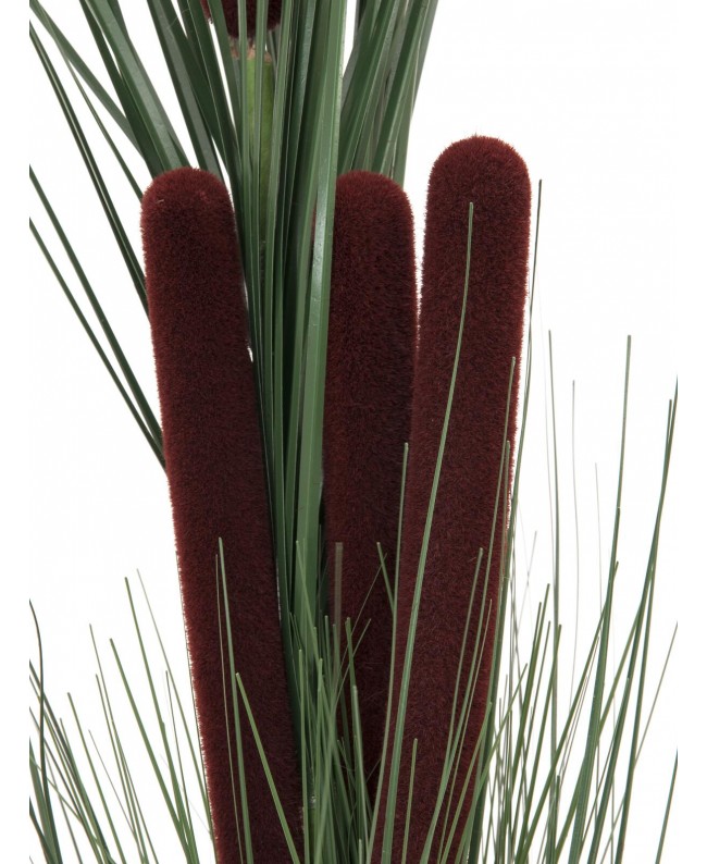 Europalms Erba di canna con coda di gatto, verde scuro, artificiale, 152cm Fiori & piante
