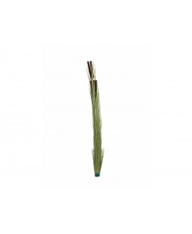 Europalms Reed grass with cattails,light green, artificial, 152cm Flowers & Plants