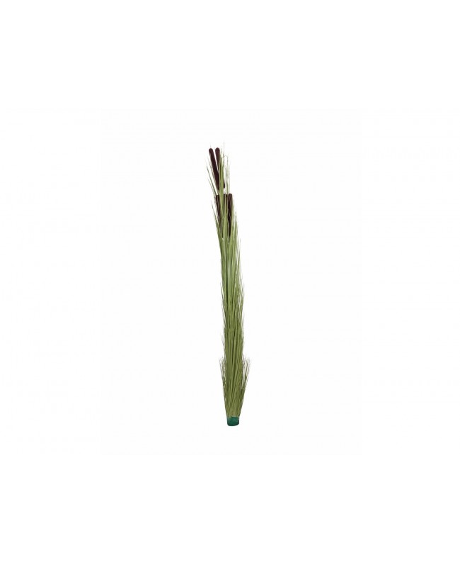 Europalms Reed grass with cattails,light green, artificial, 152cm Flowers & Plants