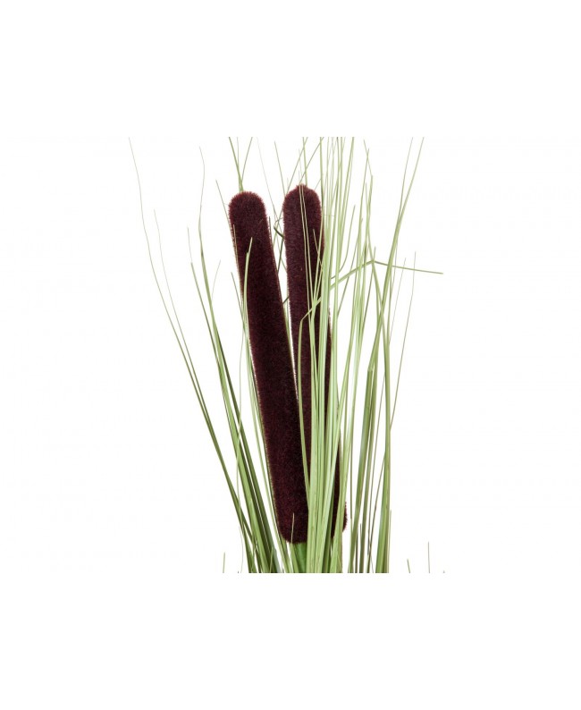 Europalms Reed grass with cattails,light green, artificial, 152cm Flowers & Plants