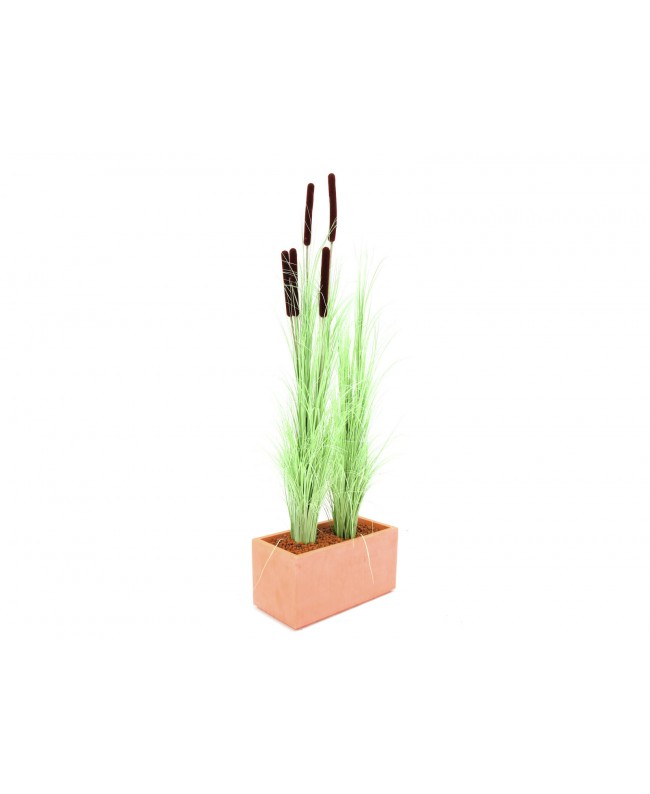 Europalms Canneto con coda di gatto, verde chiaro, artificiale, 152cm Fiori & piante