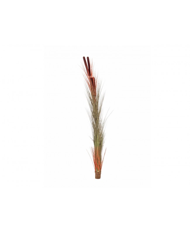 Europalms Canneto con coda di gatto, marrone chiaro, artificiale, 152cm Fiori & piante
