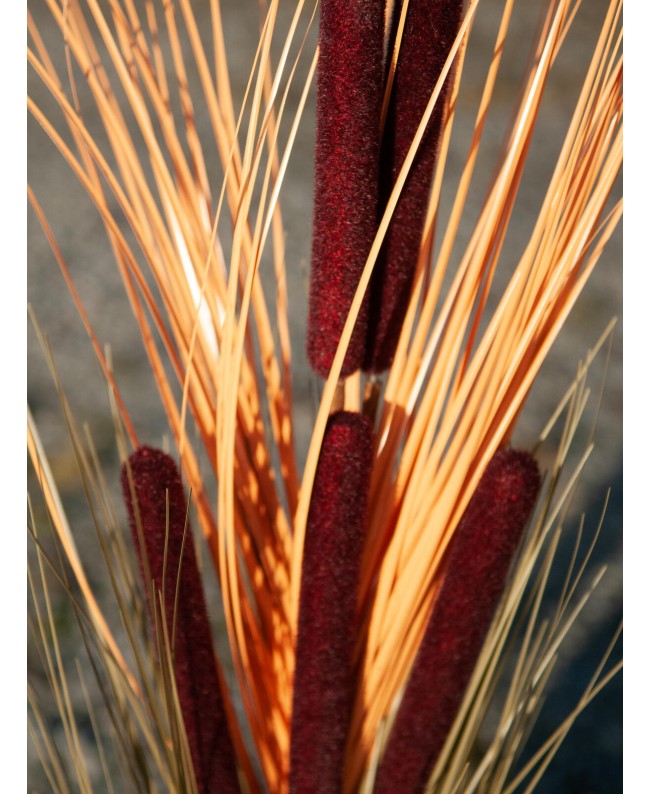 Europalms Reed grass with cattails, light-brown, artificial, 152cm Flowers & Plants