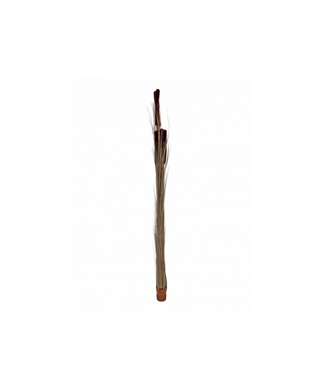 Europalms Reed grass cattails, dark-brown, artificial, 152cm Fiori & piante