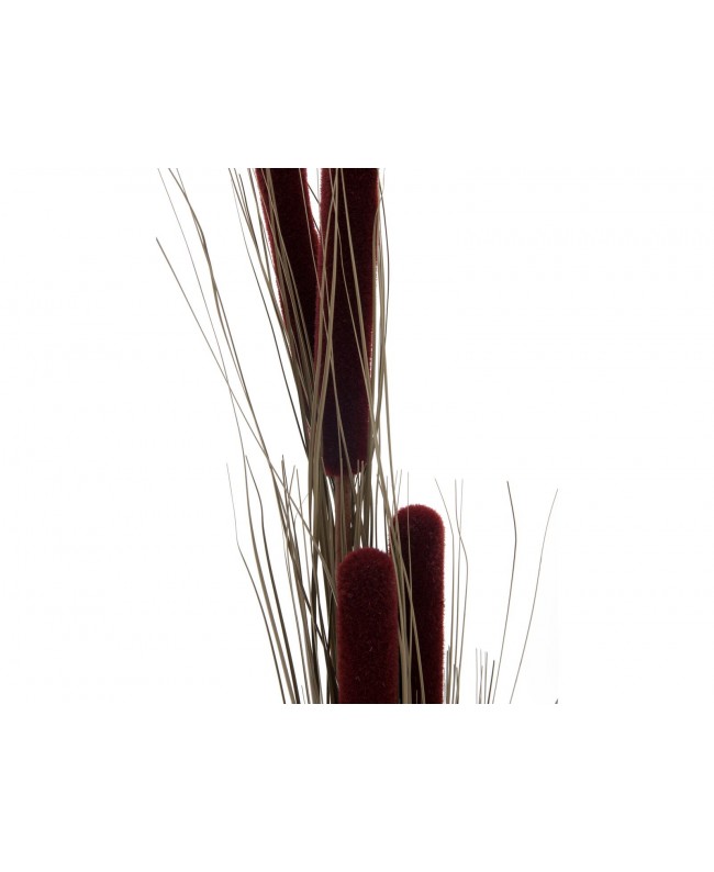 Europalms Reed grass cattails, dark-brown, artificial, 152cm Fiori & piante