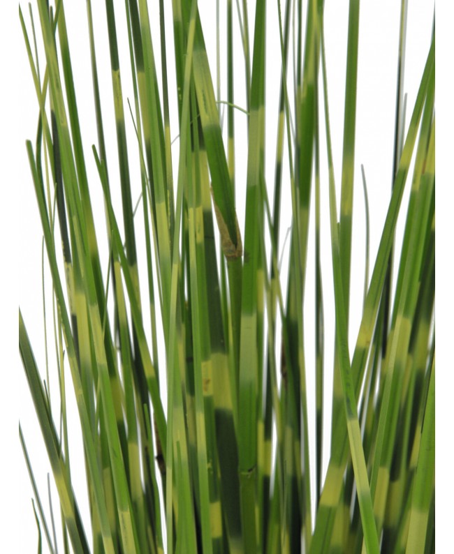 Europalms Zebragras, künstlich, 90cm Blumen & Pflanzen