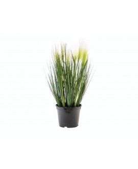 Europalms Feather grass, artificial, white, 60cm Flowers & Plants