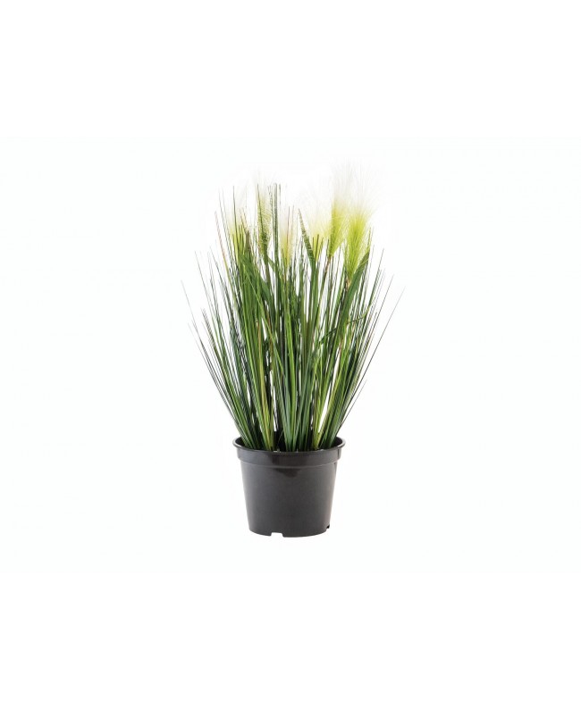 Europalms Feather grass, artificial, white, 60cm Flowers & Plants