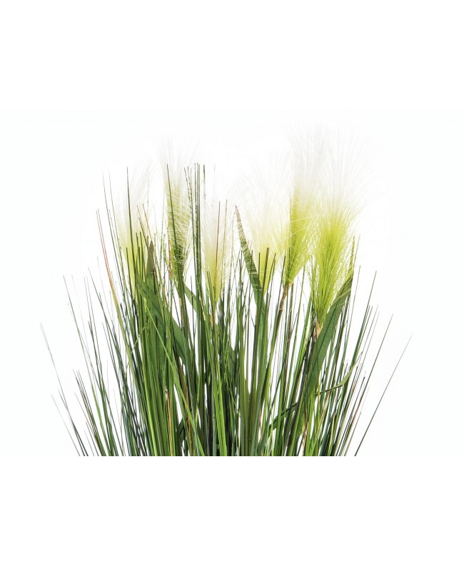 Europalms Erba di piume, artificiale, bianca, 60 cm Fiori & piante