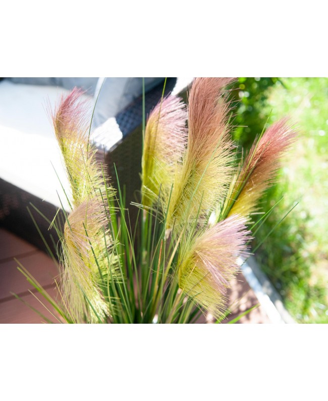 Europalms Federgras, künstlich, rosé, 90cm Blumen & Pflanzen