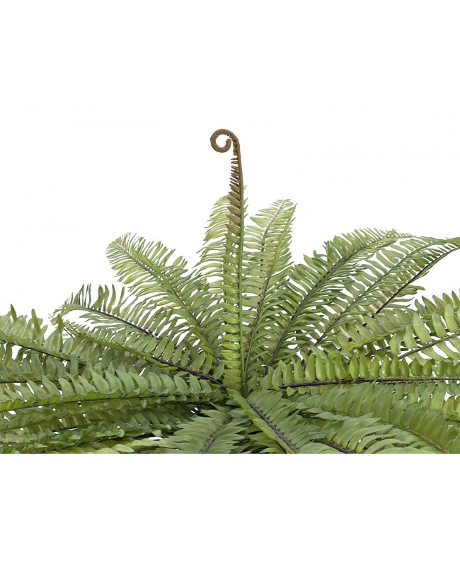 Europalms Königsfarn,Kunstpflanze, grün, 70cm Blumen & Pflanzen
