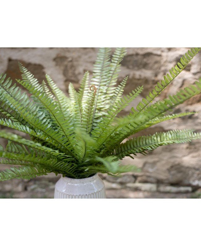 Europalms Boston Fern, artificial plant, green, 70cm Flowers & Plants