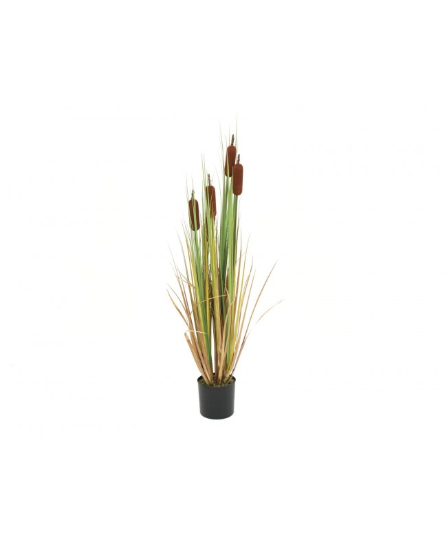 Europalms Bulrush, artificial plant, 150cm Flowers & Plants
