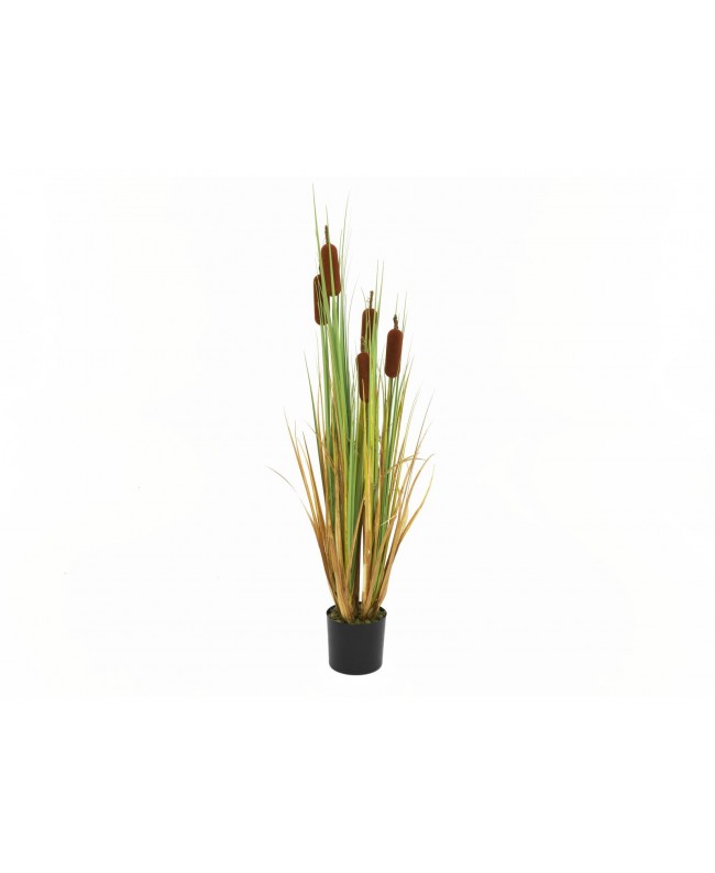 Europalms Rohrkolben, Kunstpflanze, 150cm Blumen & Pflanzen