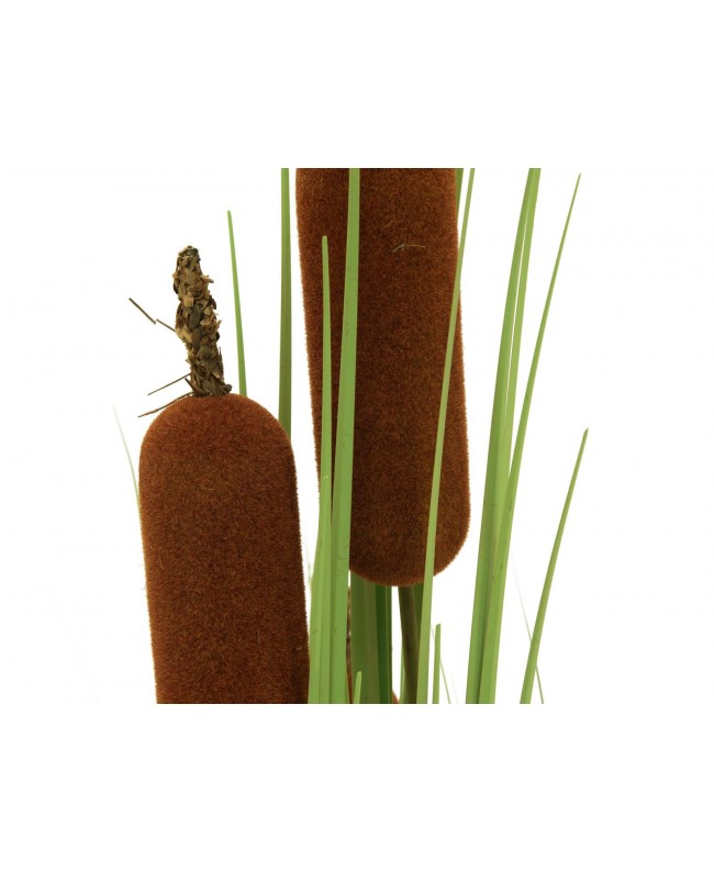 Europalms Bulrush, artificial plant, 150cm Flowers & Plants