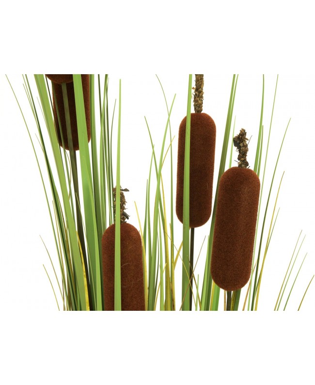 Europalms Bulrush, artificial plant, 150cm Fiori & piante