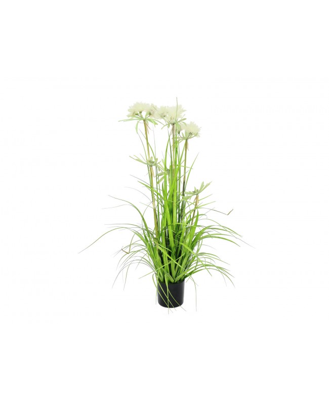 Europalms Star Grass artificial, 120cm Flowers & Plants