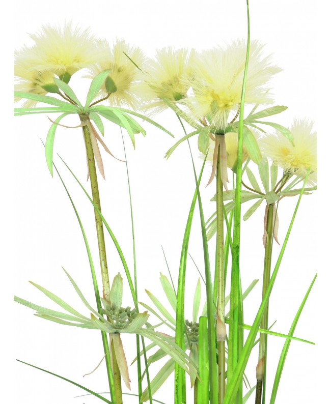 Europalms Star Grass artificial, 120cm Fiori & piante