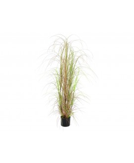 Europalms Grass bush, artificial, 150cm Flowers & Plants