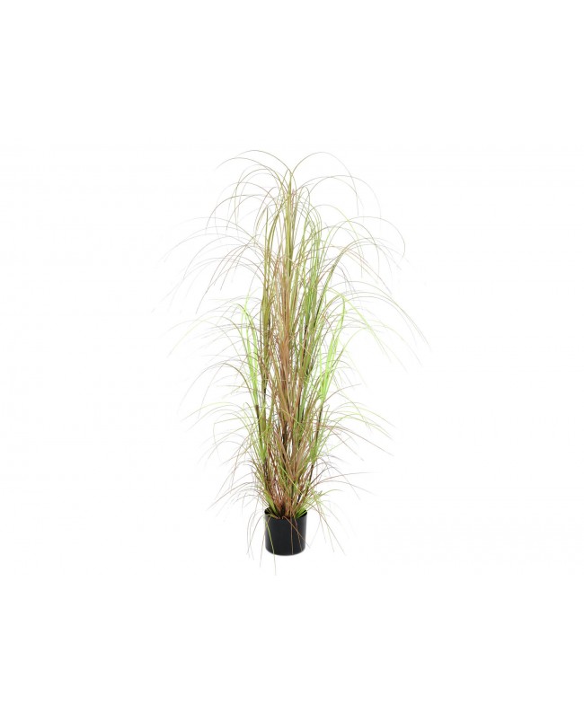 Europalms Grass bush, artificial, 150cm Fiori & piante