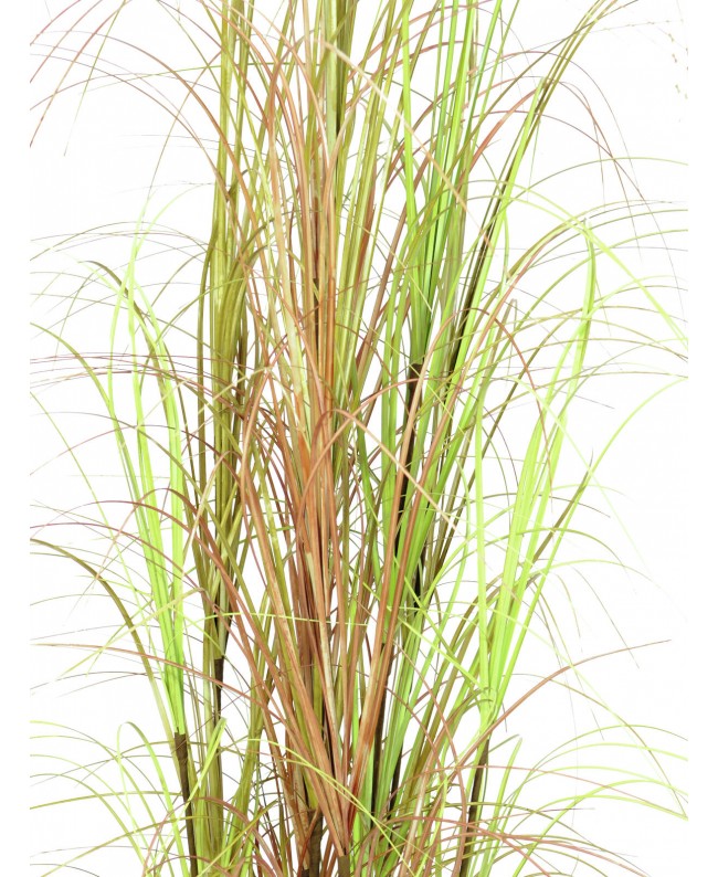 Europalms Grasbusch, künstlich, 150cm Blumen & Pflanzen