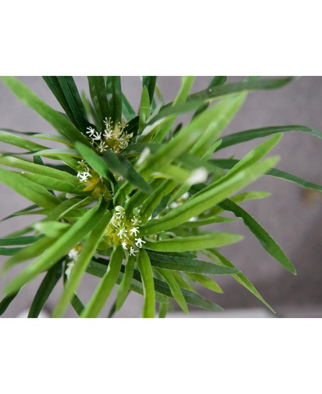 Europalms Zyperngras, künstlich,76cm Blumen & Pflanzen