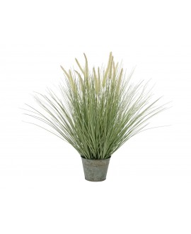 Europalms Ornamental blooming grass, artificial, 70cm Flowers & Plants