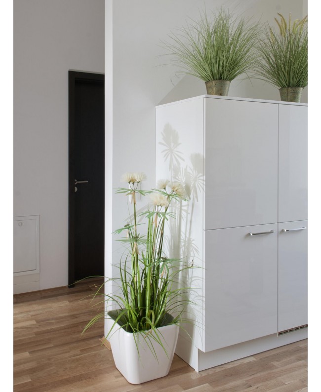 Europalms Ornamental blooming grass, artificial, 70cm Flowers & Plants